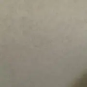 たなかの画像
