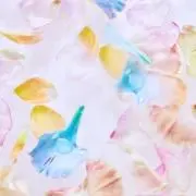 ☆☆☆☆Clariss☆☆☆☆の画像