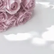 merの画像