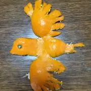 にんじんの画像