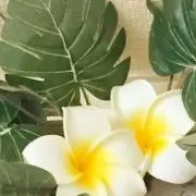 のん