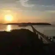 ゆうちの画像