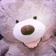 しじみの画像