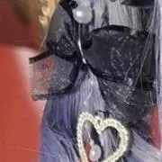 梓の画像