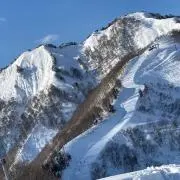 雪国育ちの画像