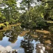 Sudachiの画像