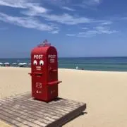 msh4の画像