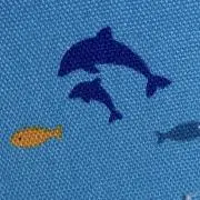 いるかの画像