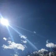 たの画像