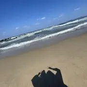 とわの画像