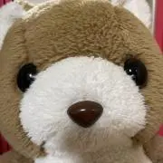 みんみん　コメントお気軽に^_^の画像