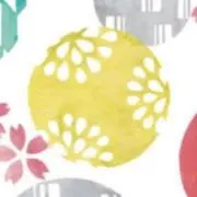 もみのき