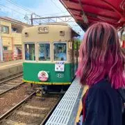 はめすの画像