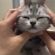 りゅ