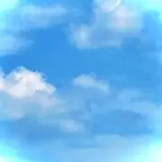 cocoの画像