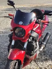 masa_55