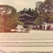 たこ焼き