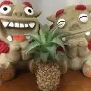 しーさーの画像