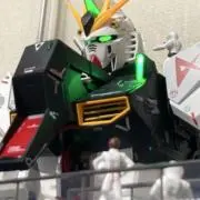 タッキーの画像