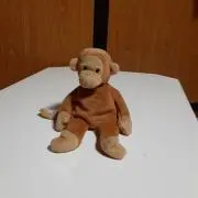 こちゃの画像
