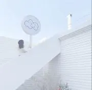 yumeの画像