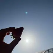 あんぱんの画像