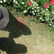 Image of とーふ