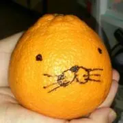 ぼのぼの