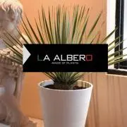 AL1083】ユッカ LA ALBERO ランチョブルー 数量限定販売 - メルカリ
