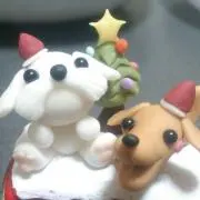 ２匹なち。今年中売れない物処分します
