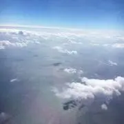 キオの画像