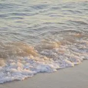 NYの画像