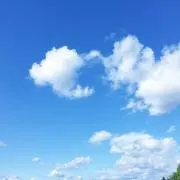 noaの画像