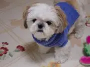 まるママ