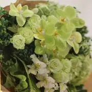 ロールケーキの画像