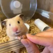 ☆そらまめこ☆プロフ読んで下さいね♡の画像