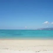 SN**PYの画像
