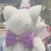 Mayaの画像