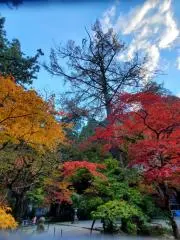 紅葉の画像