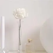 maの画像