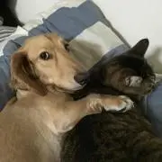 刹那