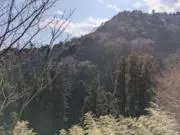 kakの画像