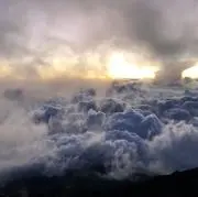 すけとうだらの画像