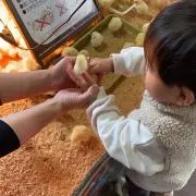 はゆあの画像