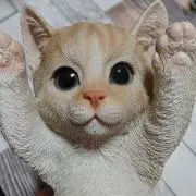りょたろうの画像