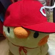 だどん【プロフチェックしてみてください！の画像
