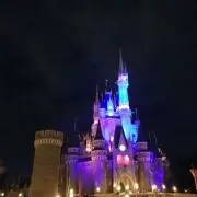 ミミの画像