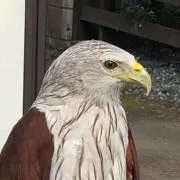 リクルート