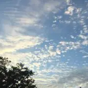 shim0415の画像