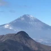 モルモルの画像